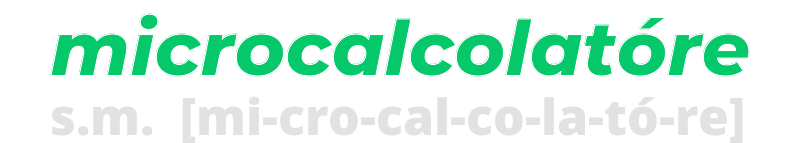 microcalcolatore