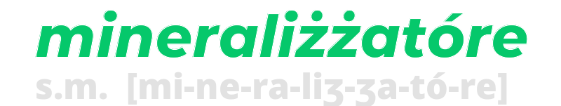 mineralizzatore