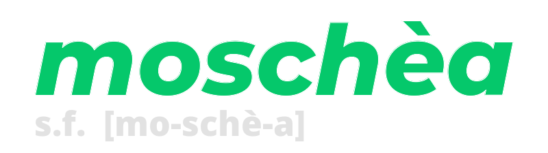 moschea