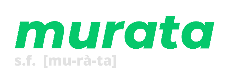 murata