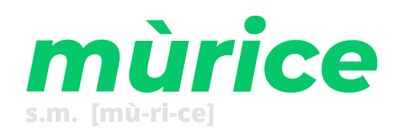 murice