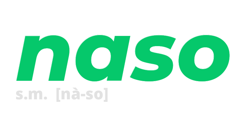 naso