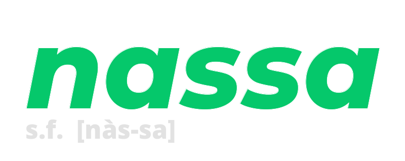 nassa