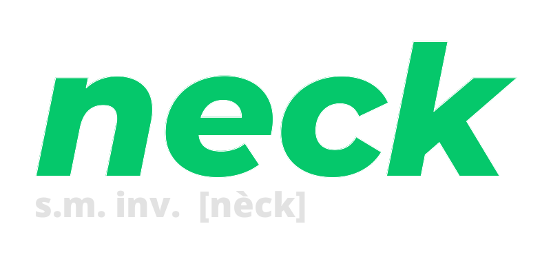 neck