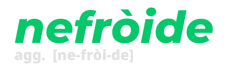 nefroide