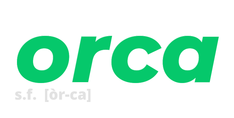 orca