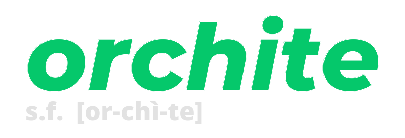 orchite