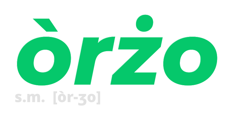 orzo