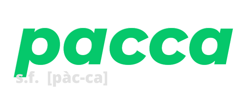 pacca