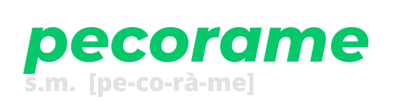 pecorame