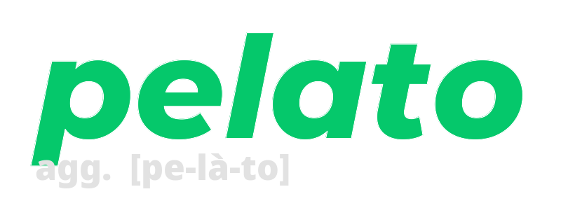 pelato