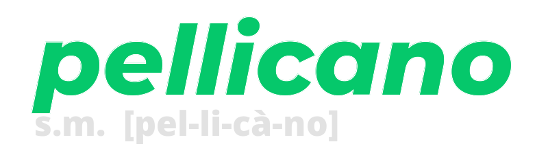 pellicano