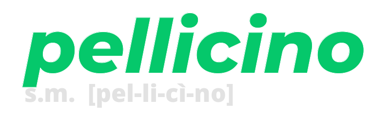 pellicino