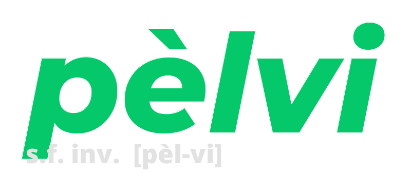 pelvi