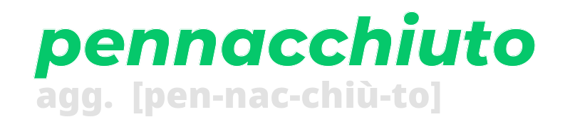 pennacchiuto