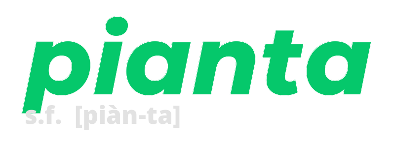 pianta