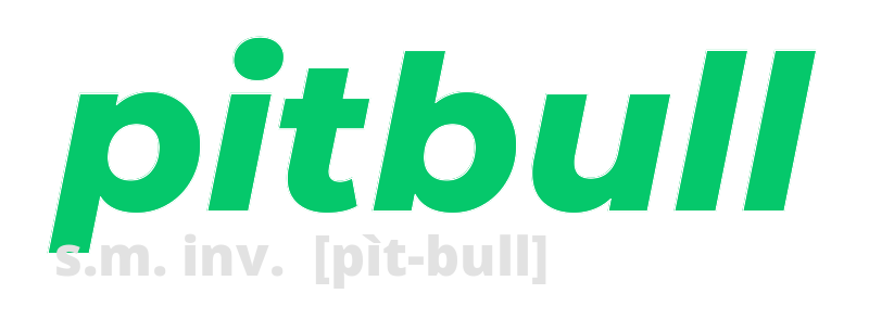 pitbull