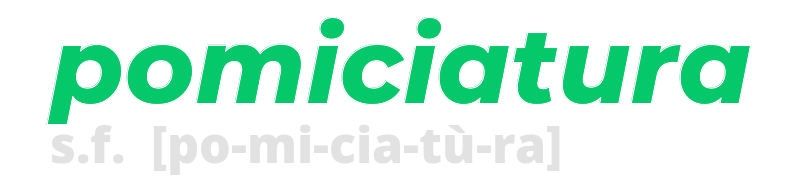 pomiciatura