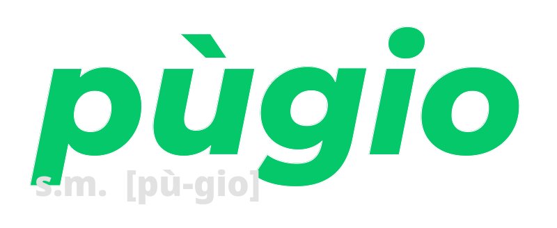 pugio