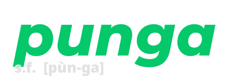 punga