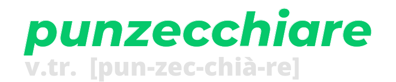 punzecchiare