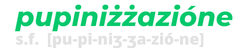 pupinizzazione