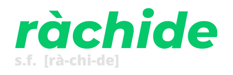 rachide