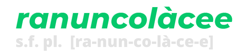 ranuncolacee