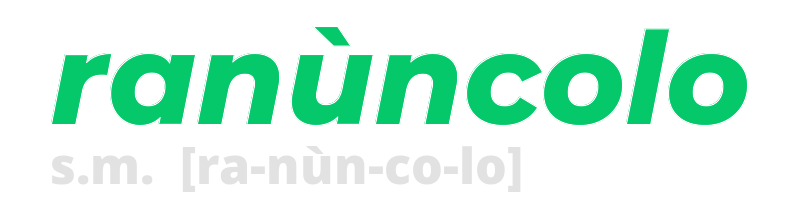 ranuncolo