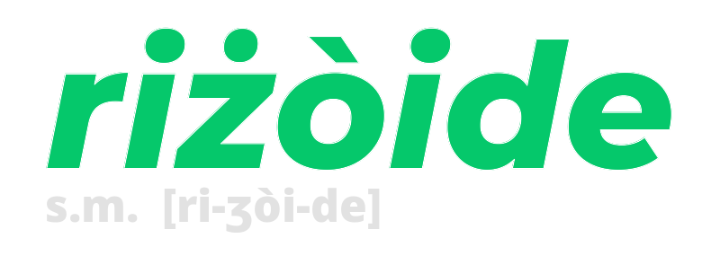 rizoide