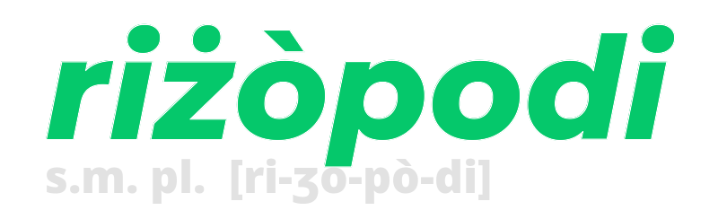 rizopodi