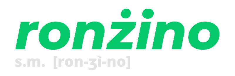 ronzino