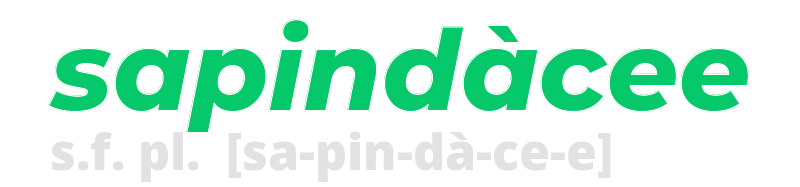 sapindacee