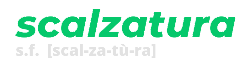 scalzatura