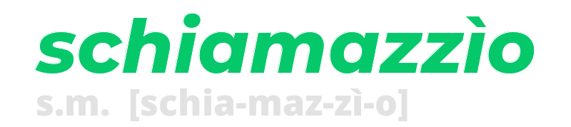 schiamazzio