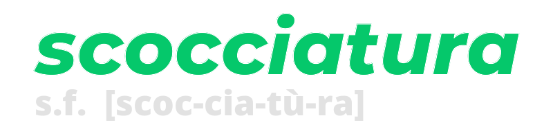 scocciatura