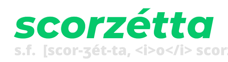 scorzetta