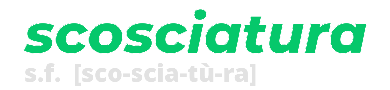 scosciatura