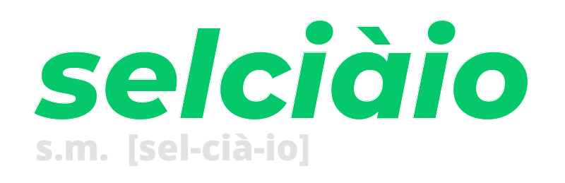selciaio