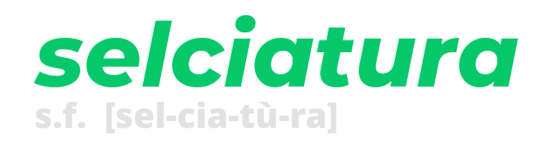 selciatura