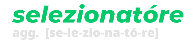 selezionatore