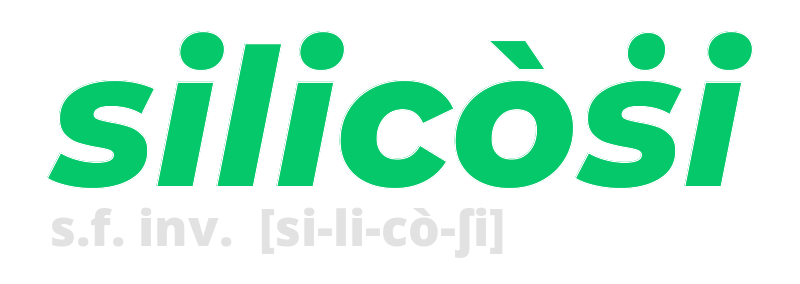 silicosi