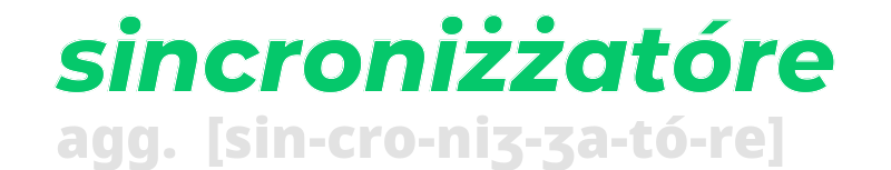 sincronizzatore