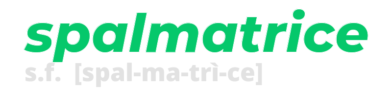 spalmatrice