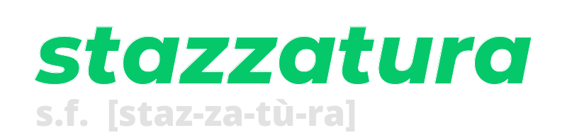 stazzatura