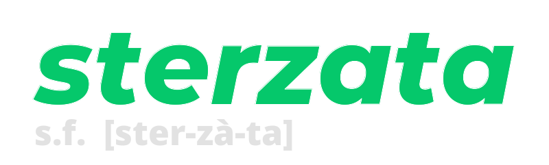 sterzata