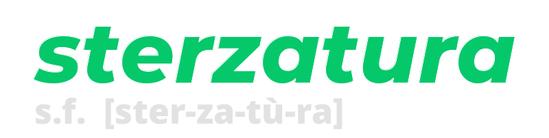 sterzatura