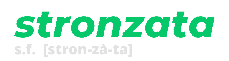 stronzata