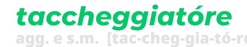 taccheggiatore