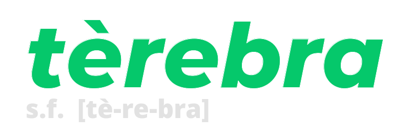 terebra